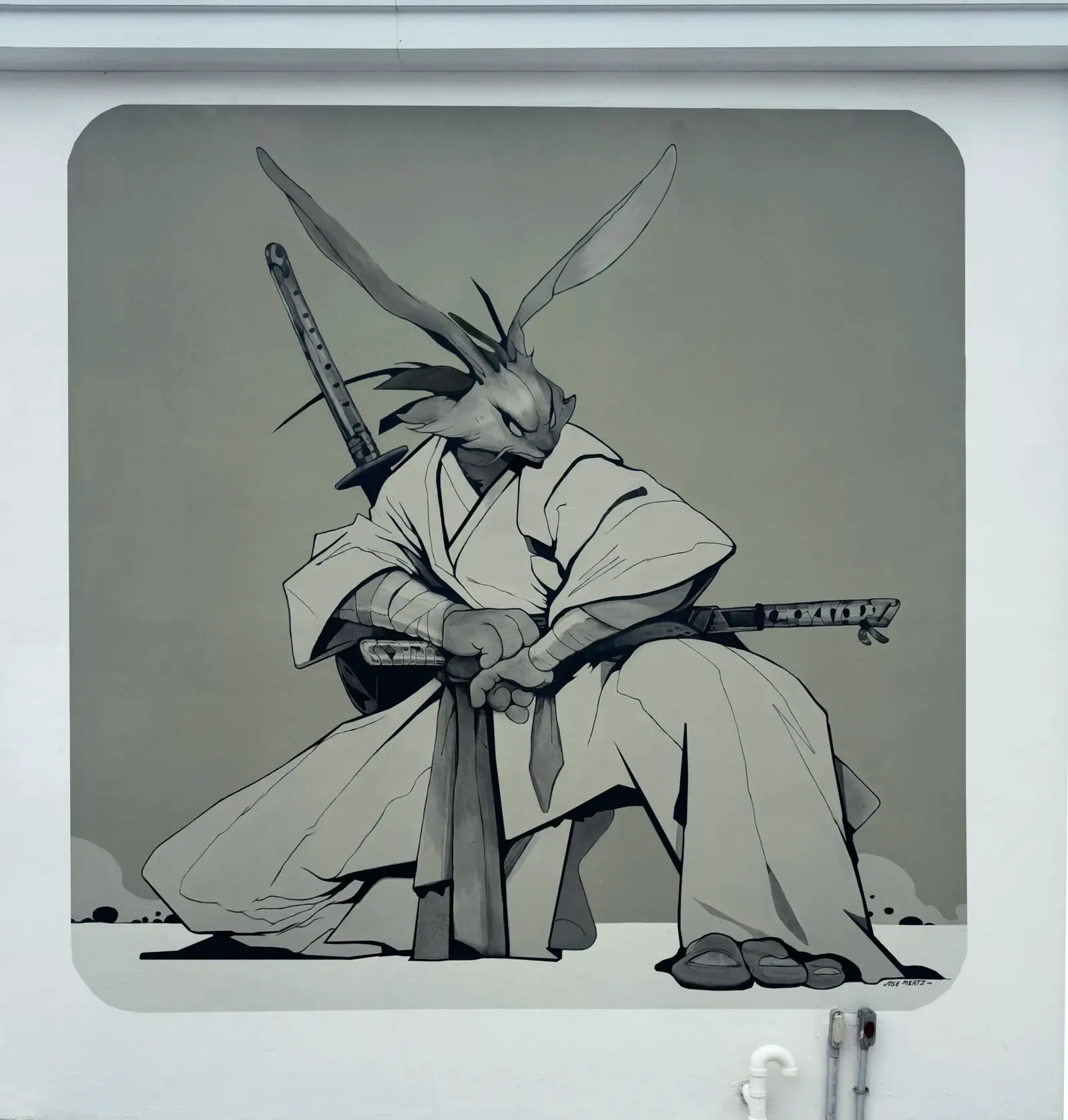 Jose Mertz