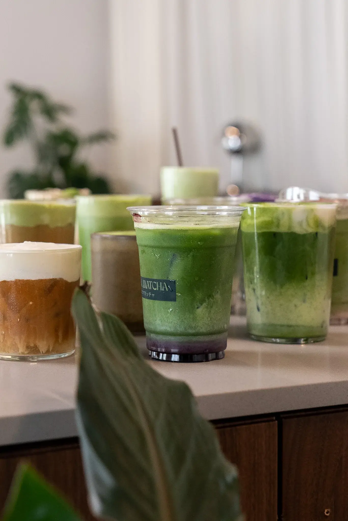 Selection of iced Alma Matcha drinks on the counter